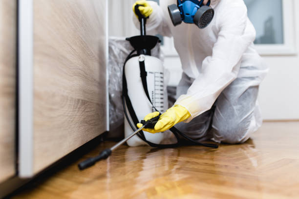 Best Insect Control  in Pickens, SC