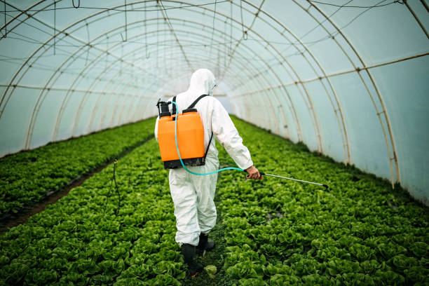 Best Affordable Pest Control Services  in Pickens, SC