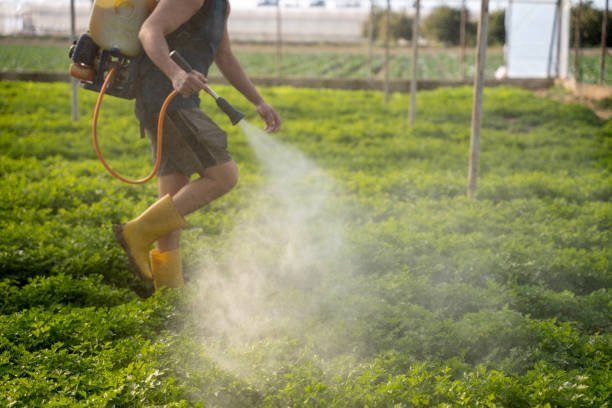 Best Pest Prevention Services  in Pickens, SC