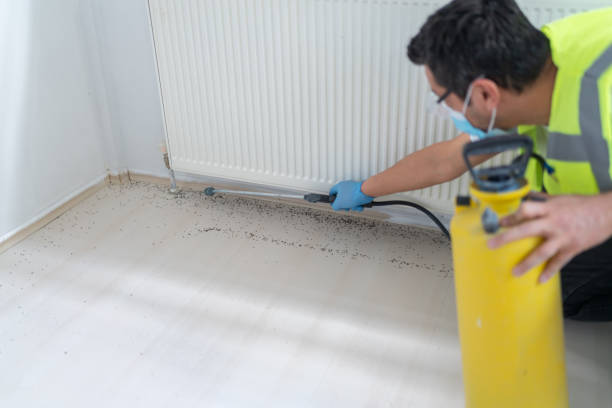 Best Flea Control Services  in Pickens, SC