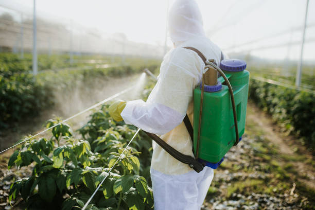 Wildlife Control Services in Pickens, SC